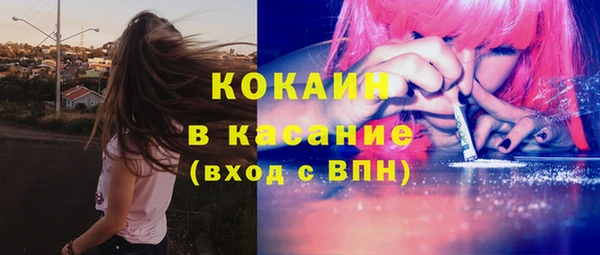 прущие крисы Вяземский